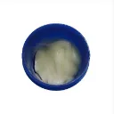 NC-559-ASM-3